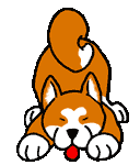 Az Akita Inu viselkedse
