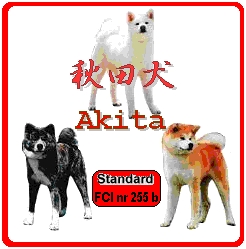 Akita Standard FCI nr 255